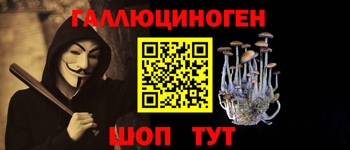 Галлюциногенные грибы Cubensis Тара